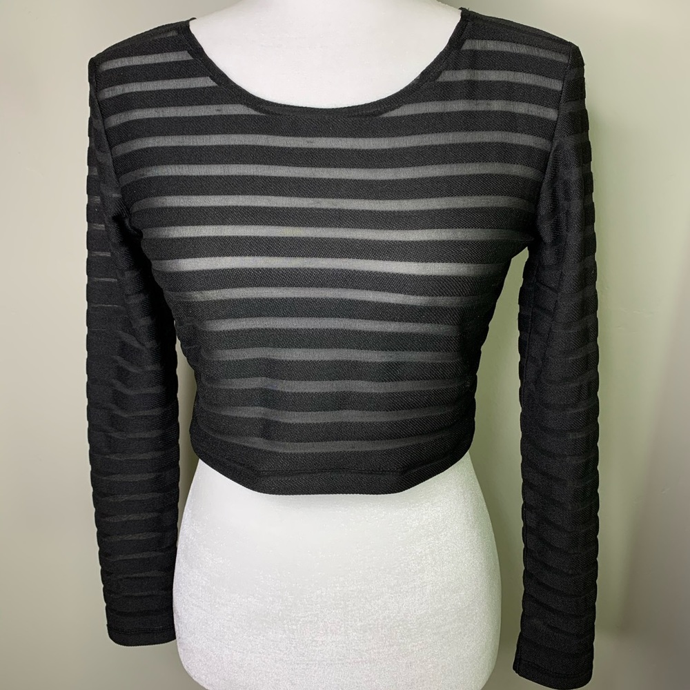 MOTEL ROCKS sheer long sleeve crop top